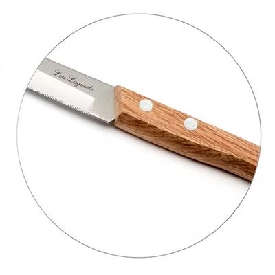 Lou Laguiole Steak Set 4 Delig 3 Lou Laguiole Steak Set 4 Delig - Afbeelding 3